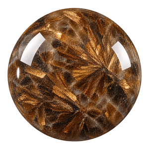 Astrophyllite