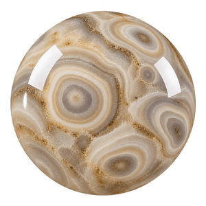 Oeil multiple